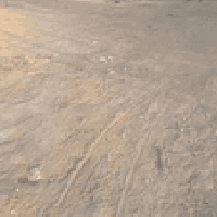 دونم زراعي • ٢٥٠٠م • كوت زنابره