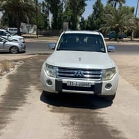 باجيرو • ٢٠١٠ • مكفولة من الصبغ