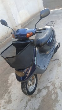 منغولي • سلف • شاصي مكفول