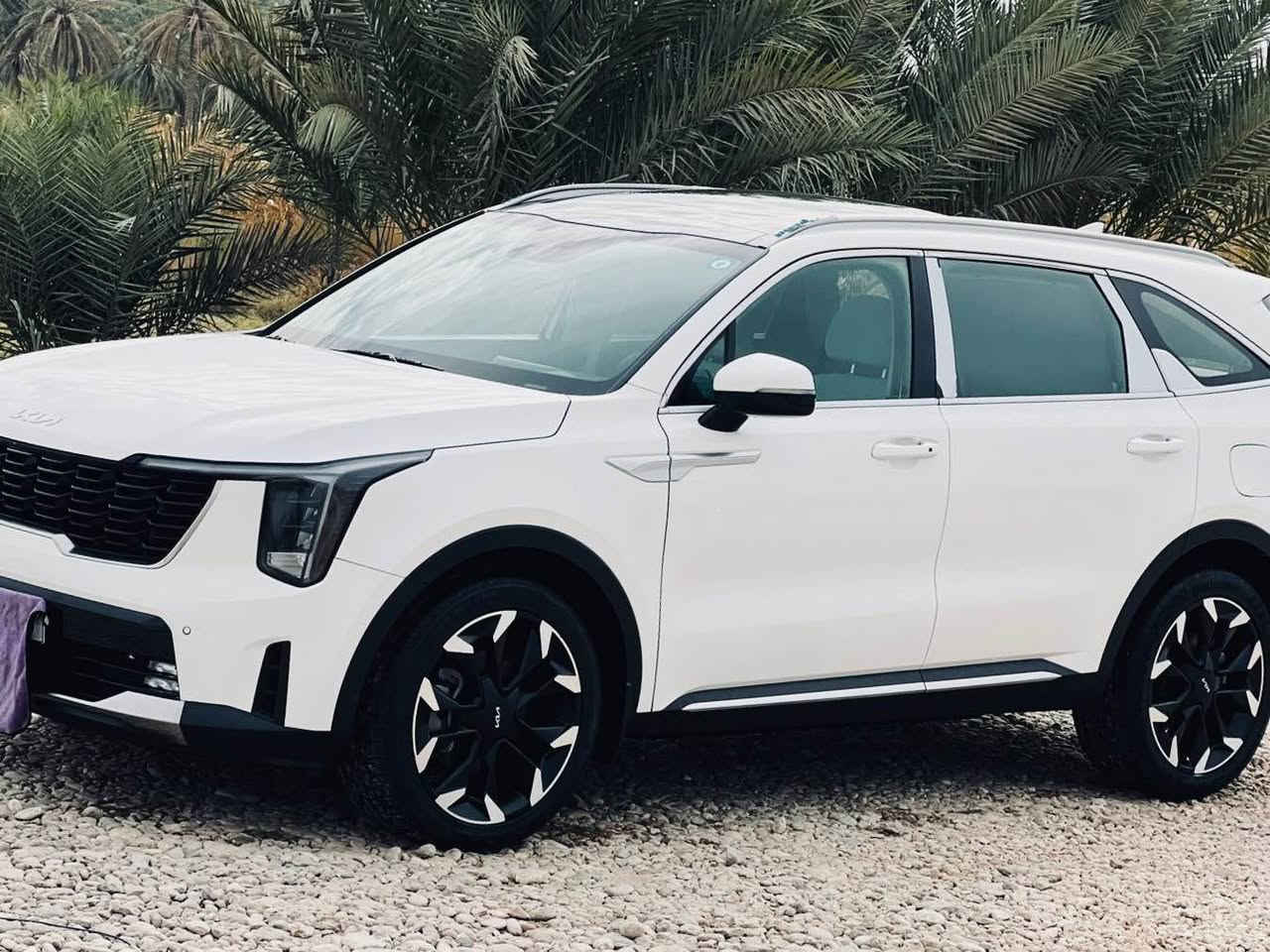 السلام السلام عليكم سورنتو ٢٠٢٤
رقم انكليزي
مكينه ٦ سلندر
 بنوراما
مري شفط
بصمه 
كير موس
كشنات كهرباء
تشغيل عن بعد 
جنطه كهرباء
فول حساسات امامي خلفي 
ويل كب كروم 19
شاشه ديجتال 
تبريد ٣ قطع 
سعره ٢٨٩
الاتصال
*********** Singapore
