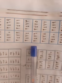 الحيدريه • الحولي الاول • ٣٠٠م