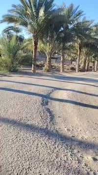 حله الحكانيه • ٧٥٠٠م • سند ٢٥