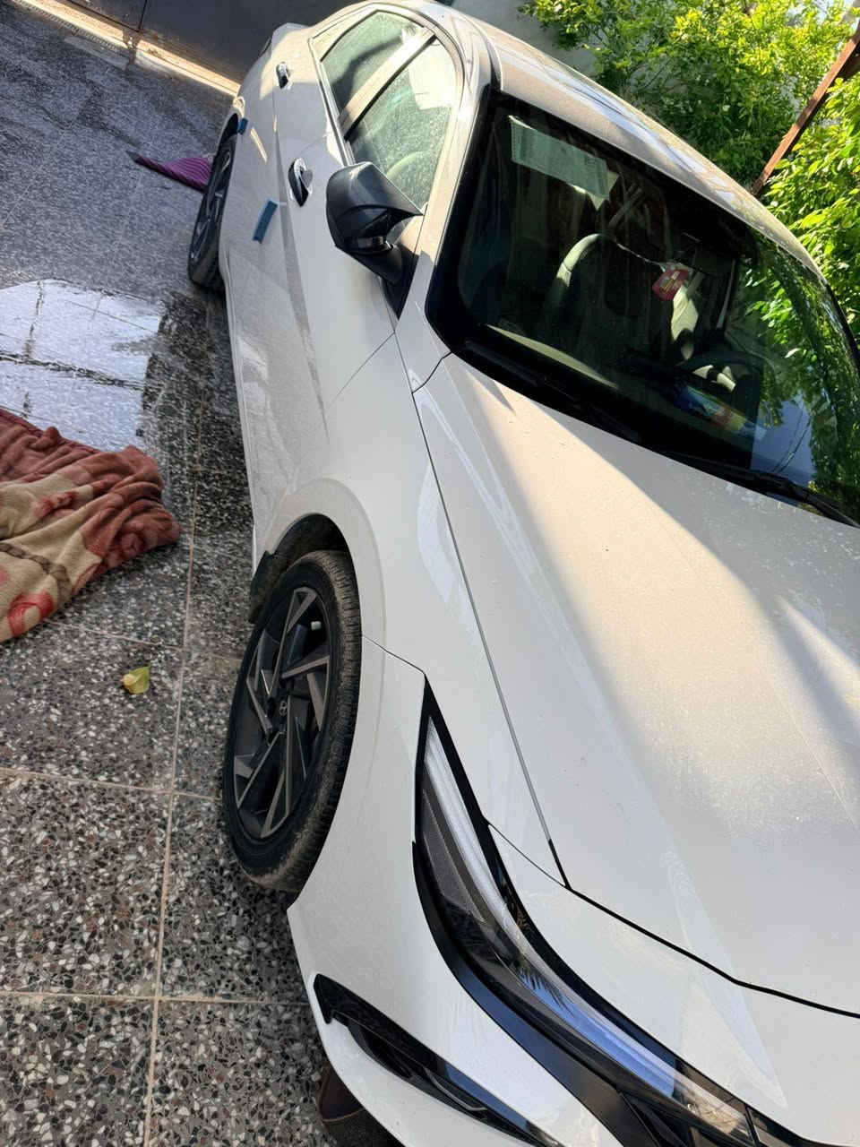 رقم ابيل
24 
مكفول 
سعر 187قفل
***********
كربلاء
