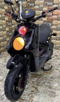 سكنس جبلي • مديل 14 • اوراق كامله