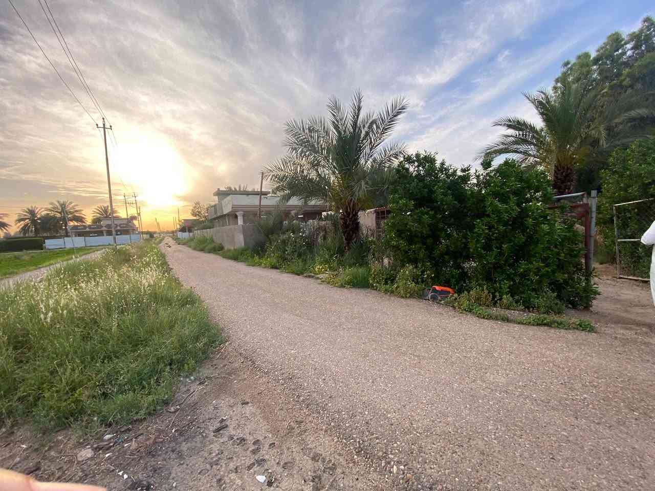 دونم طابو مع منزلين على طابو المحموديه  مقابل مفرق يوسفية الدولي
السلام عليكم

 دونم ركن طابو زراعي سند 25  على ثلاث اركان تبليط يحتوي على وحدتين سكنيه مفصولتان متجاورة وحديقة من جهتين كما يحتوي على شارع خاص للدونم ونهر اروائي جاهز لمشروع تجاري او صناعي او سكني نافذ على مدخلين من الدولي 

مساحة المنزل الاول / 200م

مساحة المنزل الثاني/ 200م 

الموقع / بغداد ناحية الرشيد مقابل مفرق السريع الدولي مدخل الجسر الاول او مدخل الدولي الذي يسير من الحولي  كما يبعد دقائق عن الطابقين والدورة  واصله خطين ماء وخطين كهرباء تبليط مدارس

***********

***********
