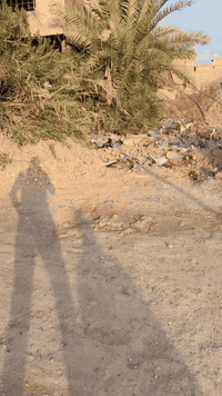 سبع البور • 205م • شارع40