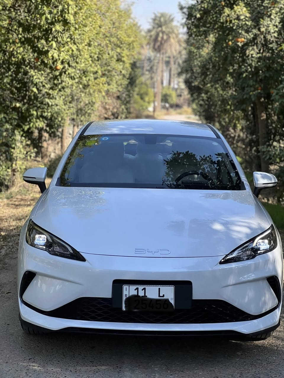 السلام عليكم للبيع
بي وادي  سيل 05 2025  زيرو 
بلكن هايبرد  ثلاث انظمه هايبرد + بانزين  شحن ذاتي + شحن خارجي تمشيك2200  كيلو سعه خزان الوقود 65 لتر 
ملحقات شاحن اصلي و كارت دخول 
عداد  كليومتر صفر
مثبت لوحات سنويه
محرك يعمل لشحن البطاريه فقط  1500 هجين ثلاث انظمه شحن ذاتي + هايبرد + شحن خارجي 
داخل جلد ابيض لونين  بطاين بوب جلد ابيض واسود 
دركة دي جلد وحياكه 
بكلايت لد خليه دخاني لون 
بصمه +كارت 
هاندر بريك بصمه اوتو هولد 
كيجات شاشه 
شاشه كبيره تبريد شاشه 
لايت ليد لايت اوتو  + لد صباحي 
اشاير مري
تبريد قطعتين 
ويل كب اسود
مكان السيارة بغداد للاستفسار الاتصال على الرقم 
***********
***********
