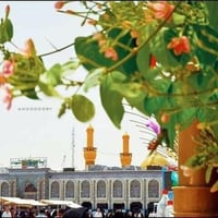 مبيت كربلاء • ولادة الإمام المهدي • الثلاثاء ٦ص