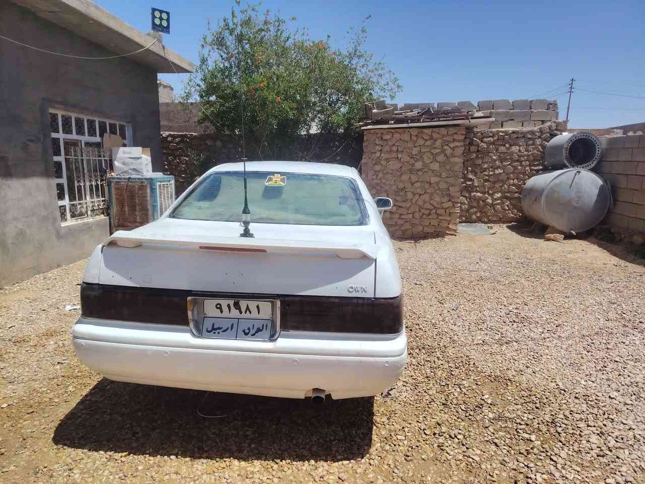 سلام وعليكم
بطه حديده( للبيع) 
 ومراوس( بوميكه) صولي
***********
