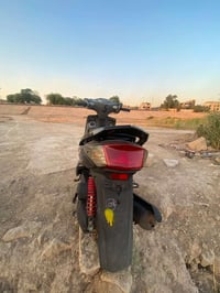 سكنس فحل • كوري • جديده