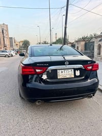 ماكسيما • ٢٠١٧ • مكفولة الضربة والصبغ