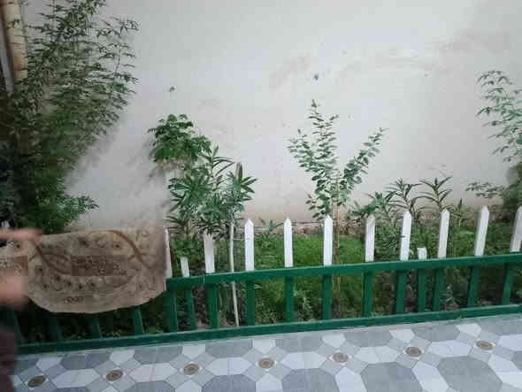 #اسعد_الله_اوقاتكم_بكل_خير⁉️
دار سكن للبيع 2025
#المساحة::200متر
#جنس_العقار::طابو مالك صرف زراعي باسم عراقي وكالة ونسخة من الطابو ومكتبة 
#العنوان::البصرة أبو الخصيب منطقة أم النعاج 
#يحتوي:: البيت على غرف منام 2كبار
وديوان 
وصاله ومطبخ 
صحيات داخلي وخارجي وكراج 
سياره 
جميع الخدمات متوفرة ماء كهرباء مدارس نت كلشي قريب 
#السعر((115مليون وبي مجال))
#اللاستفسار إلا تصال على ☎️
☎️((***********))☎️
