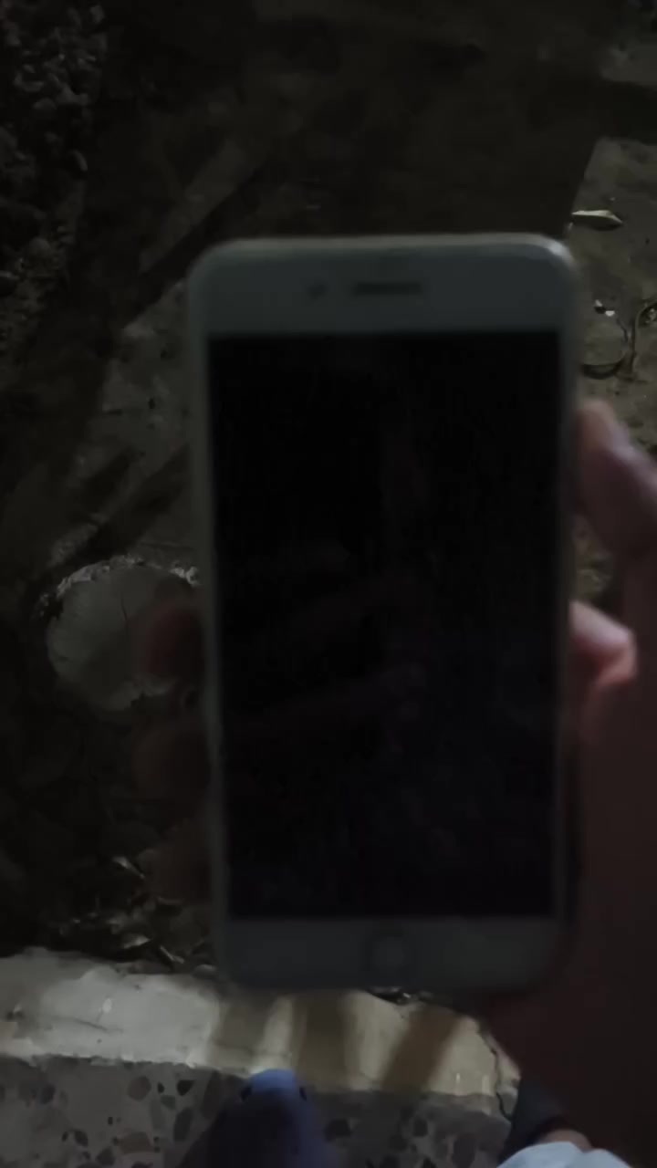 ٩٠ مع توصيل


**إذا كنت صاحب هذا الإعلان وتريد حذفه لأي سبب، رجاءا أرسل رسالة إلى الدعم الفني**