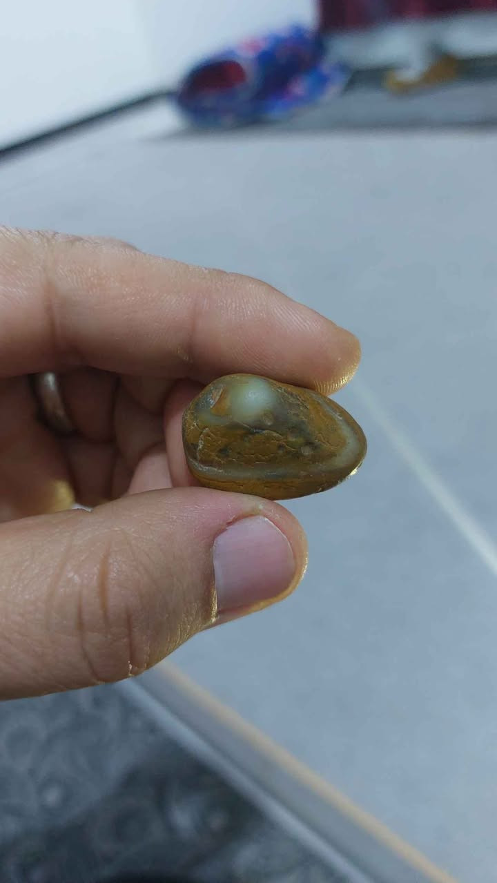 احجار سليماني خام طبيعي ملاكط البصرة, العراق


**إذا كنت صاحب هذا الإعلان وتريد حذفه لأي سبب، رجاءا أرسل رسالة إلى الدعم الفني**