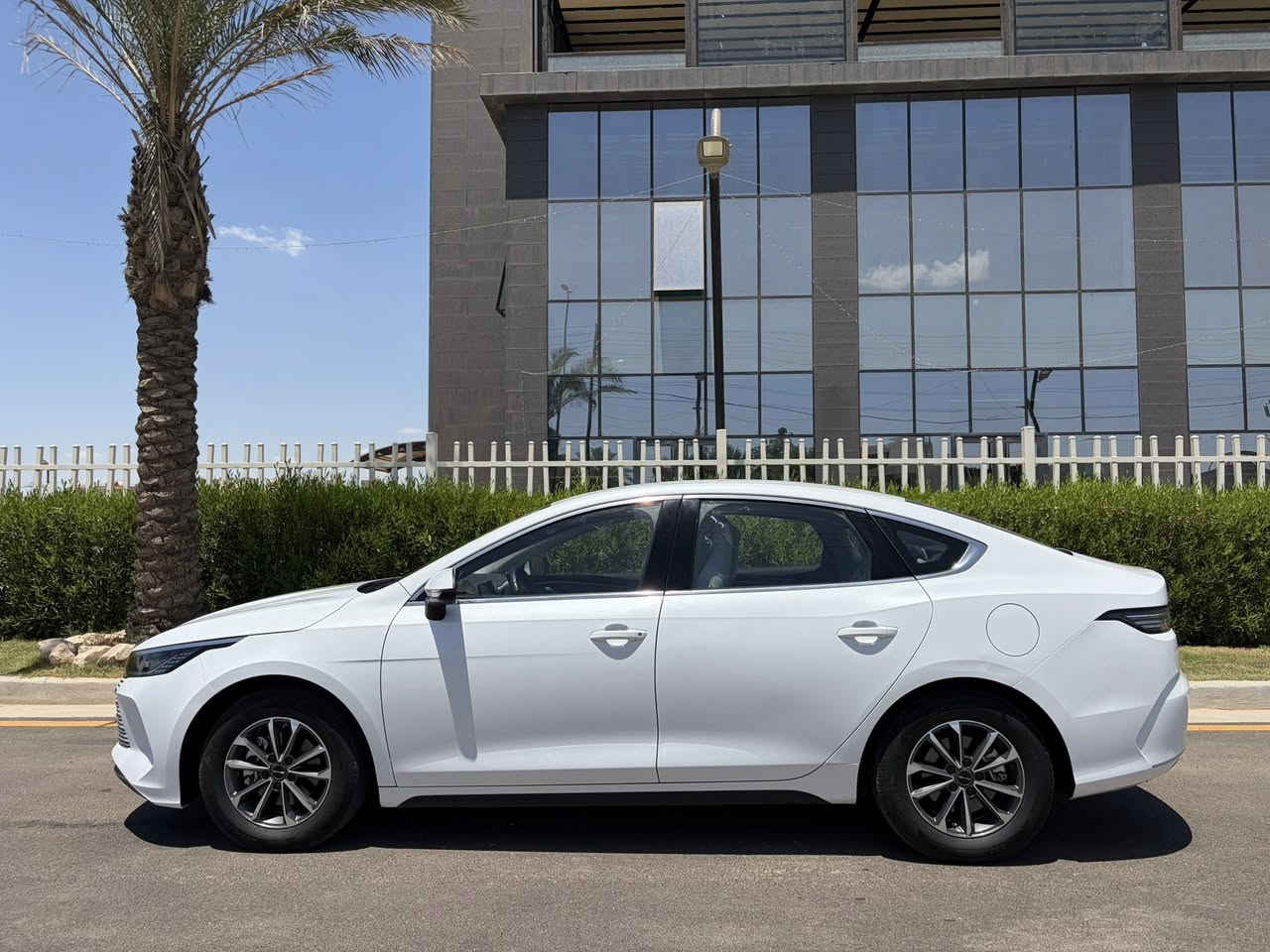 سلام عليكم
للبيع دستروير2025
رقم بغدادماشية 18573 Hev
21009 Ev
مكينة 1500
شاشة متحركة
حساس خلفي
كامرا خلفية
مثبت سرعة
كشنات جلد رياضي
كير ماوس
اوتو هولد
لد امامي خلفي
لايتات زنون
تشغيل عن بعد
ويل كب 16
‎3 انظمة قيادة
وباقي المواصفات معروفة
مكان السيارة /بغداد حي الاعلام
السعر 19،500 مليون دينار
ملاحظة رواج بسيط تحت قبق بانزين فقط كفالة عامة من البارد والصبغ
السيارة كاملة قبل سبوع امبدل دهن وفلاتر برغي مابيها نقص
ارقام التواصل والاستفسار

سلام عليكم
للبيع دستروير2025
رقم بغدادماشية 18573 Hev
21009 Ev
مكينة 1500
شاشة متحركة
حساس خلفي
كامرا خلفية
مثبت سرعة
كشنات جلد رياضي
كير ماوس
اوتو هولد
لد امامي خلفي
لايتات زنون
تشغيل عن بعد
ويل كب 16
‎3 انظمة قيادة
وباقي المواصفات معروفة
مكان السيارة /بغداد حي الاعلام
السعر 19،500 مليون دينار
ملاحظة رواج بسيط تحت قبق بانزين فقط كفالة عامة من البارد والصبغ
السيارة كاملة قبل سبوع امبدل دهن وفلاتر برغي مابيها نقص
ارقام التواصل والاستفسار

0783 830 8067
