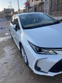 كورلا • ٢٠٢٣ • رقم اربيل