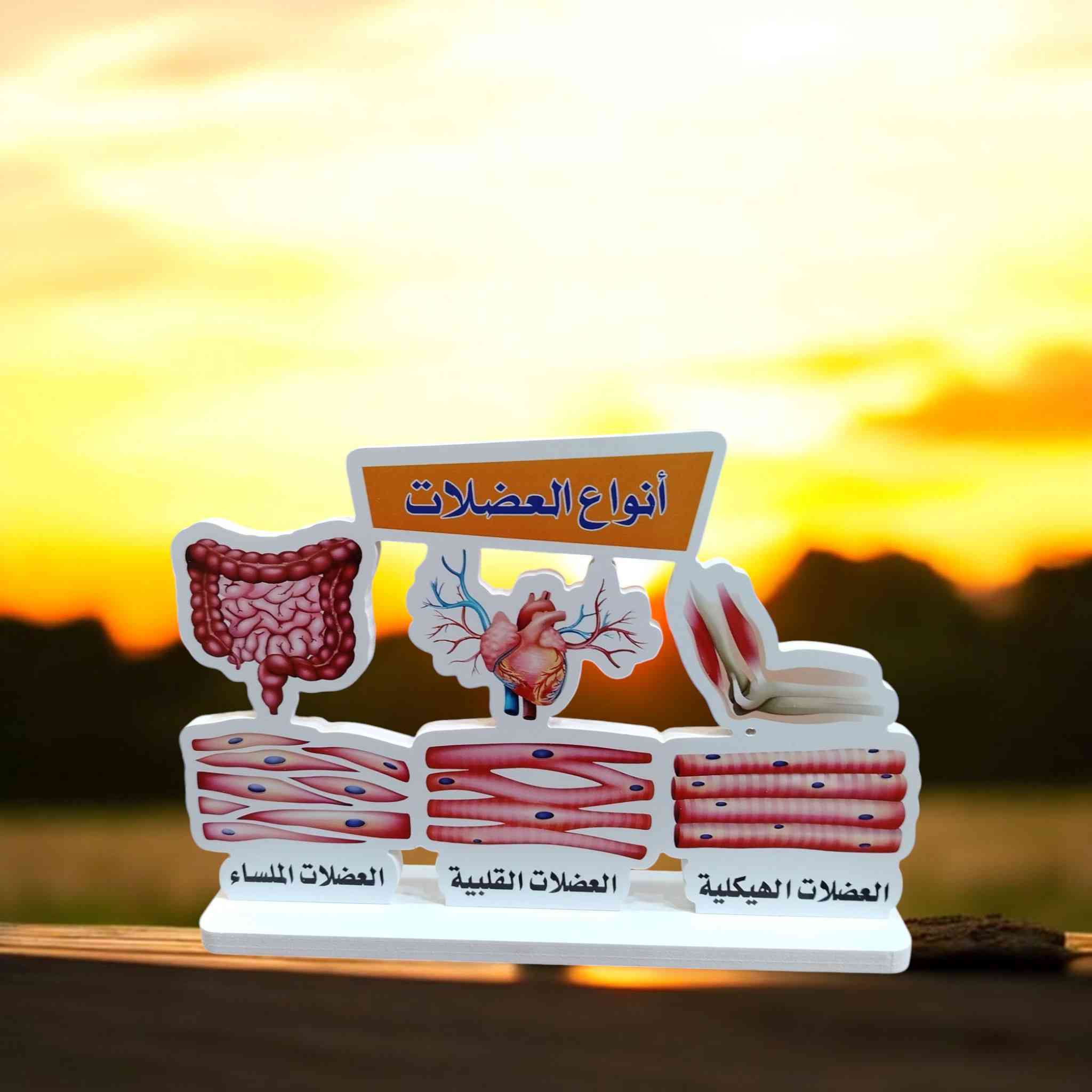 أعمال فوم
لجميع المواد ( أحياء +كيمياء +فيزياء)
متوفره بسعر 5000دينار


**إذا كنت صاحب هذا الإعلان وتريد حذفه لأي سبب، رجاءا أرسل رسالة إلى الدعم الفني**