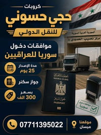 ميسان • موافقات دخول • سوريا