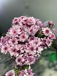 بيبي روز • باقة ورد • الرفاعي