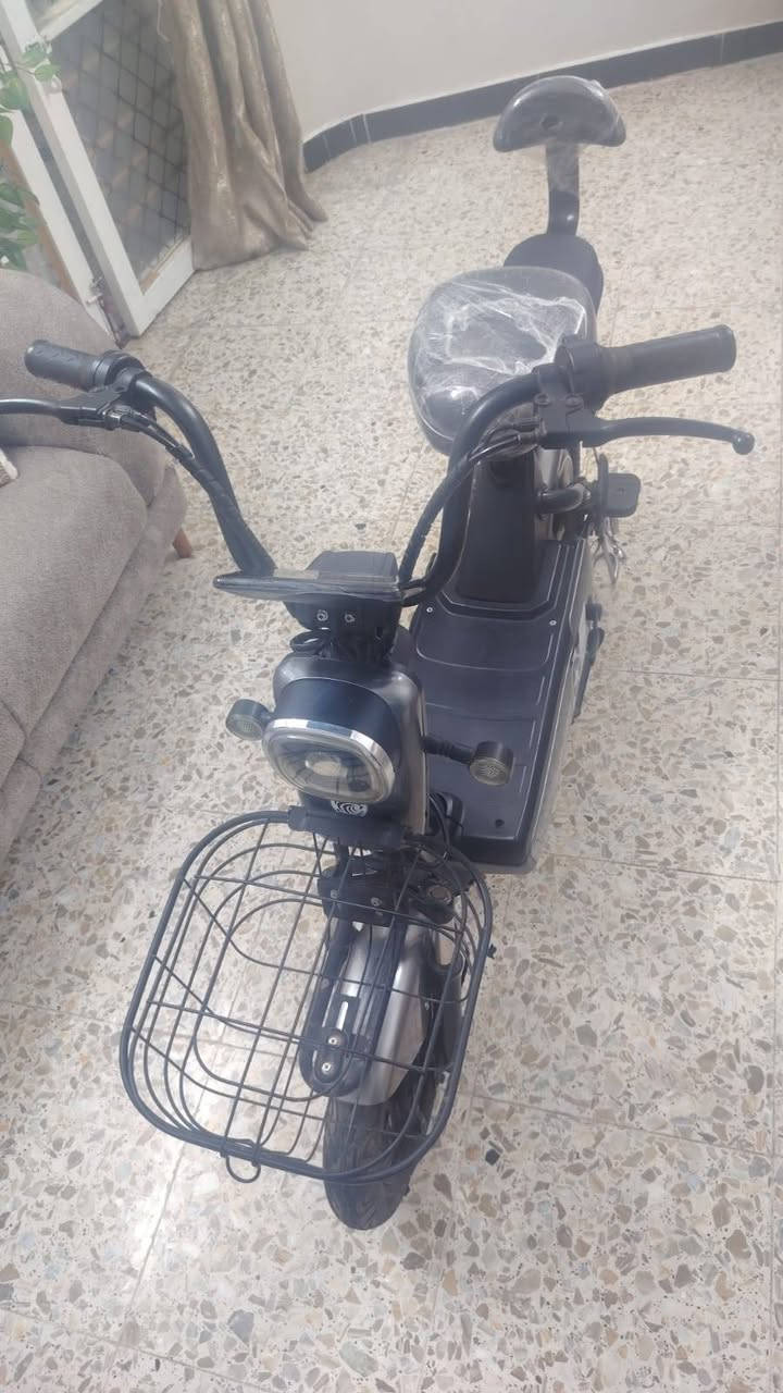 السلام عليكم عندي دراجه شحن حجم 14 دراجه نضيفه جدا بعدها بجيسها ما مستخدمه هواي تلث سرع اشاره يمه يسره بريك امامي خلفي دراجه مكفول السعر 200 وبيها مجال للاستفسار الاتصال على الرقم *********** أو خاص
