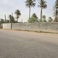 أرض زراعية • ٨ دونم • شط الكوفة