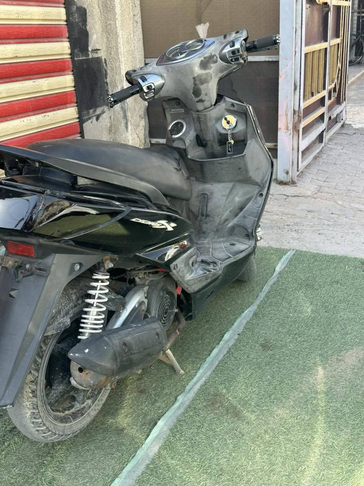 سكنس فحل للبيع مكينه خرسه مامفتوحه الشراي يراسل خاص واتساب***********
