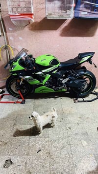 كاوسكي 16 • ABS • ميسان