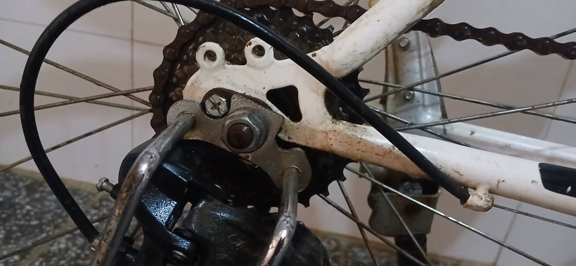 للبيع مكاني بغداد


**إذا كنت صاحب هذا الإعلان وتريد حذفه لأي سبب، رجاءا أرسل رسالة إلى الدعم الفني**