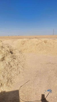 تبن • ديالى