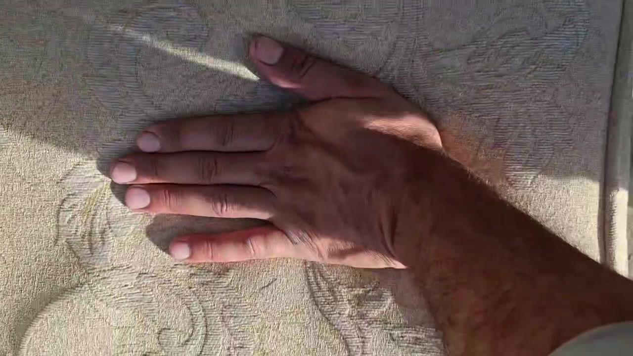 تخم باله تركي ماركه  نظيف جدا جدا 10نفر اسفنج ضغط طبي بولستر  نضيف باله تركي
الحمزه الغربي ***********
