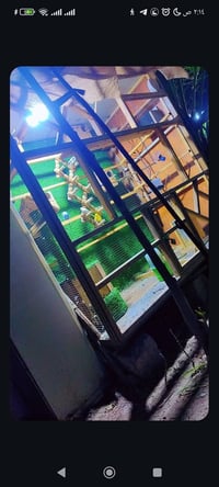 قفص • ١٧٠×١٧٠ • بدون كناري