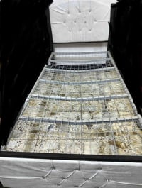 جرباية • ٢نفر • الزعفرانية