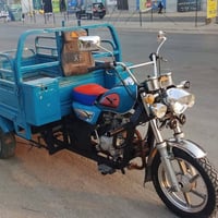 ستوته صقر • ٢٠٢١ • اوراق كامله