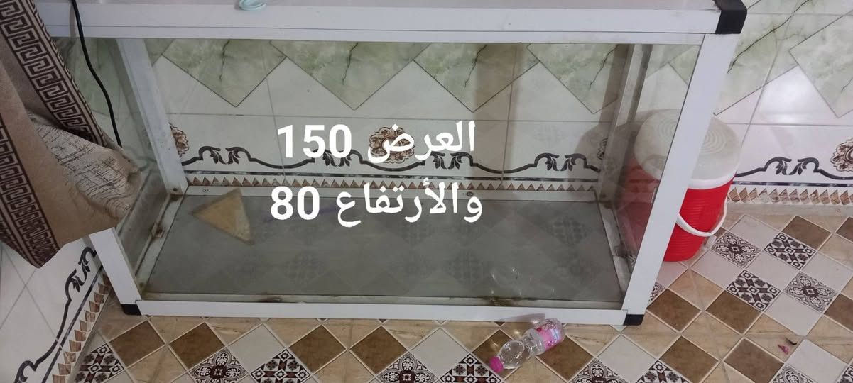 السلام عليكم غراض مطعم للبيع
كابسه صاج غازيه 150
جام خانه الامنيوم 80
شوايه همبركر الكبيره 65 والصغيره 50
طباخ فلافل 2 عيون 60


**إذا كنت صاحب هذا الإعلان وتريد حذفه لأي سبب، رجاءا أرسل رسالة إلى الدعم الفني**