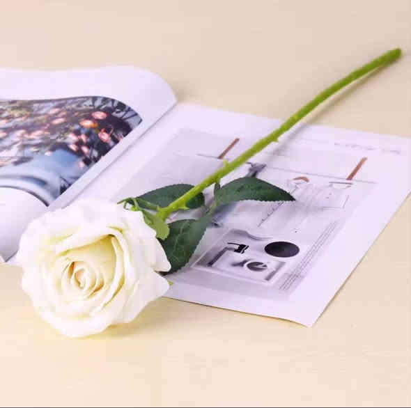 🌹 وردة جوري شبيهة بالطبيعي! 🌹

هدية راقية لصديقك أو حبيبك 😍
مثالية للهدايا والمناسبات
العنوان: هيت  حي العمال 📍
تواصل معنا لطلبك! 📞
***********
