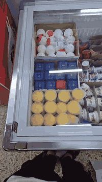 يتم توزيع العارضات الى اصحاب المحلات اهواي اشخاص حجزو يمنه انت شنو منت...