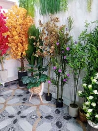 متجر سعفة • حي الجمعية الاولى • هيت الانبار