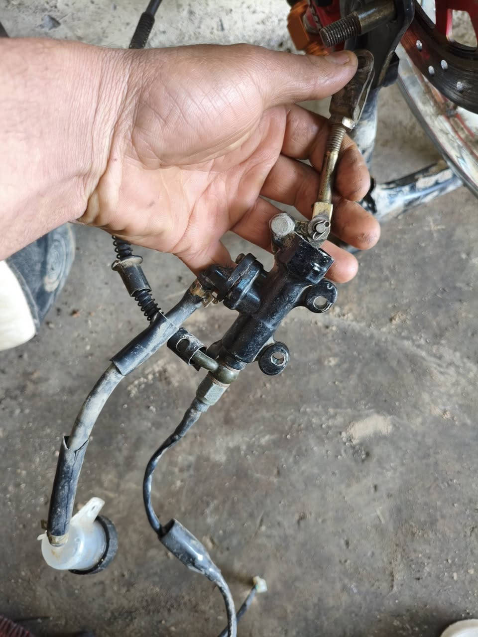 السلام عليكم.   ال بيع ال بيع     ويل دراجه اربعه معه عبار بريك خلفي +. دكس بريك خلفي + صينه بريك.  اصيلات وشغلات + لشه مل ويل   مكان كربلاء طوريج  المعهد الفني ال. وهذا رقمي ***********
