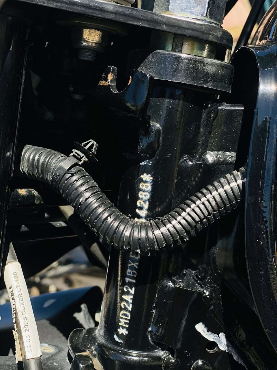 السلام عليكم بوكسر موديل 23  ماشيه 32 حقيقي الدراجه كفاله عامه من كلشي شرط الفحص  من كلشي رقم انكليزي بسمي تحويل مباشر لوحات ثنين مكاني محموديه 
السعر 2950 وبيه مجال بسيط 
مكاني محموديه 
*********** بي وات ساب
