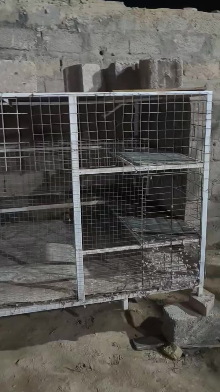 البيع قفص حديده كله جديد وحت بابه موجود وقفص ثكيل مو تنكك البيع ب80


**إذا كنت صاحب هذا الإعلان وتريد حذفه لأي سبب، رجاءا أرسل رسالة إلى الدعم الفني**