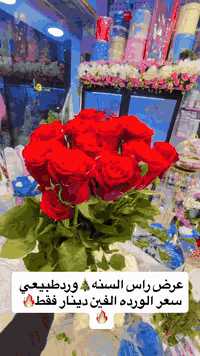 🔥🔥عرض راس السنه🎄🌲ورد طبيعي سعر الورده الفين دينار فقط هاي لااسعار فقط يم مكتبة دار العلم للحجز***********   عنوان قطاع28شارع السوك مجاور مجمع محمد الموسوي متوفر توصيل 🚕 سعر التوصيل الفين
