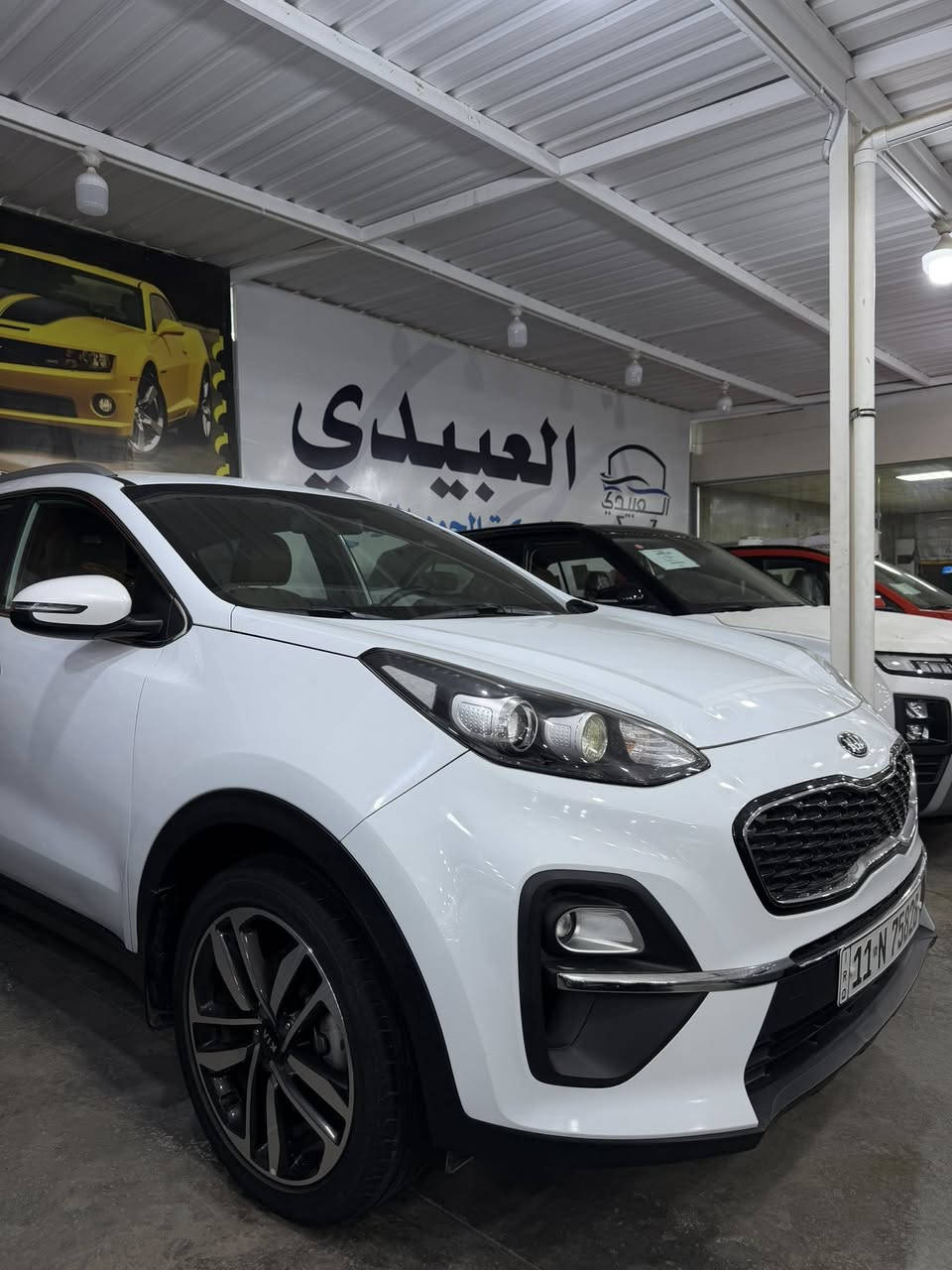 السلام عليكم
كيا سبورتج موديل 2021 ضمان الشركة الدولية خليجي رقم بغداد بأسمي تحويل مباشر سيارة مكفوله من الصبغ و البارد جديدة كلش استخدام شخصي 
مكان السيارة بغداد 
محرك: 2000 دوش 
ماشيه 72 الف كيلو فقط 
مواصفات 
1_شاشه 
2_كامره خلفية 
3_شاشه اعطال 
4_قطعتين تبريد 
5_اشاير بل مري 
6_حساس امامي خلفي وجانبي 
 7_مري شفط 
8_اشاير مري 
9_تحكم وضعيات قيادة 
10_ويل كب بلاد
11_كشافات اماميه 
12_داخل لونين 
13-تحكم استيراً جهتياً 
14- ويل كروم حجم 18 
15- نفكيشن
16- يدات نيكل 
السعر : 203 وبيها مجال بسيط 
للاستفسار: ***********
