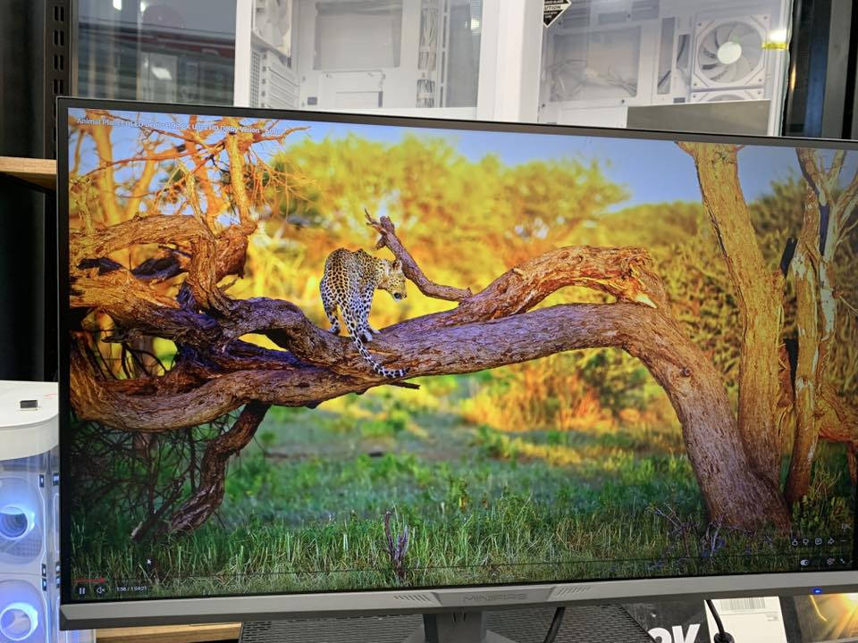 مونيتةر مينيفاير كيمينك 
٢٧" ٢٤٠هـيرتز
١م س
متحريك 
كڤر الشاشة من الظهر RGB
سعر ٢٧٠ الف 
٦شهـر ضمان
اكو توصيل كل محافظات


**إذا كنت صاحب هذا الإعلان وتريد حذفه لأي سبب، رجاءا أرسل رسالة إلى الدعم الفني**