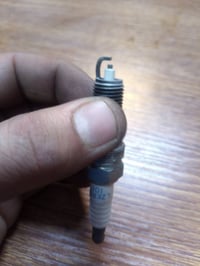 وبركاته بلكات تفصيخ الاصلي نجي كي فحمي 16 14 سن طولي متوفر حاليا جمله ...