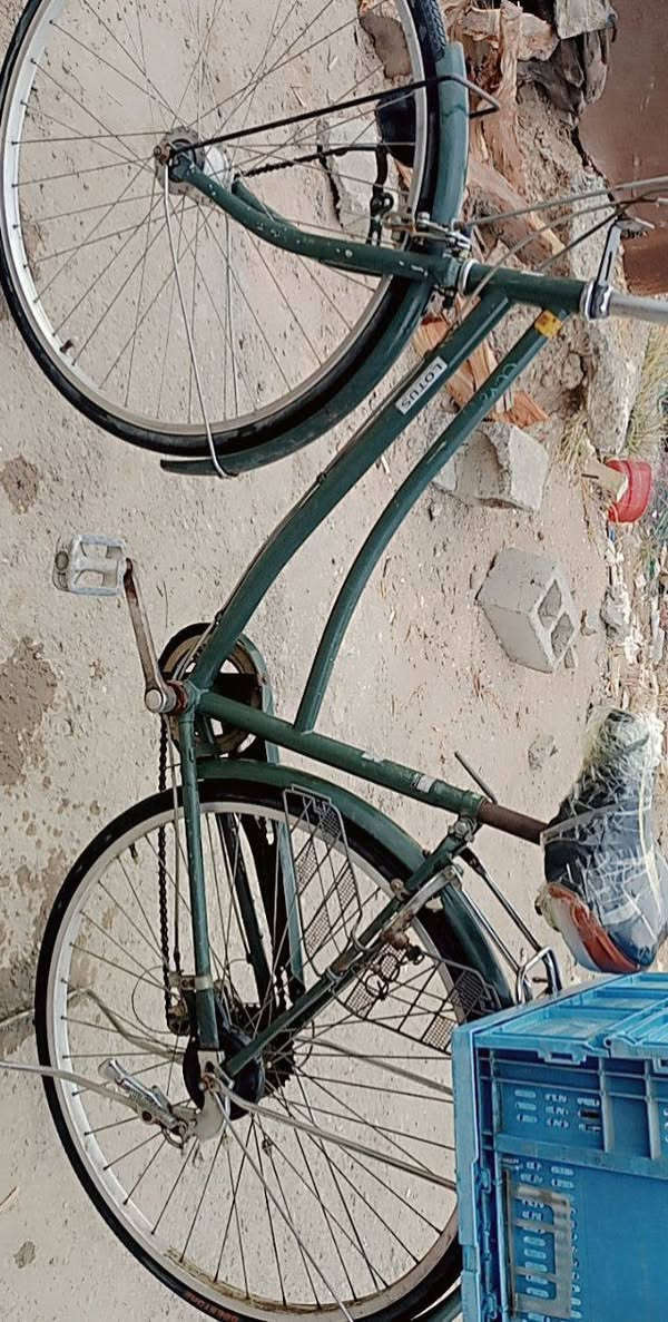 سلام عليكم  بايسكل ياباني باله اصلي حجم 27 لون زيتوني ***********واتساب سعر 100 وبي مجال بسيط مكاني هورجب
