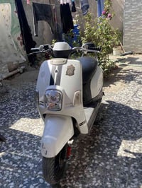 ماكس بوليس كفاله عامه ما مفتوحه نكرت سلف بوشه ٤٩ بيع او مروس سعر خاص 0...