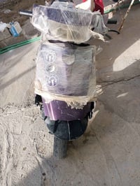 فراشة • مجفتة • النجف