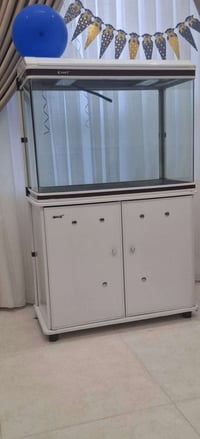 حوض سمك • سعر ومكان
