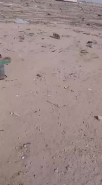 مولده لبيع لسفسار تصال عل رقم07719333116