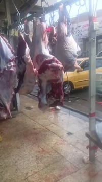 قصابة النقيب • بهرز • الخميس